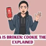 The 2026 Session Hijack Crisis: Why 2FA & OTPs Are Useless Against Cookie Theft Malware